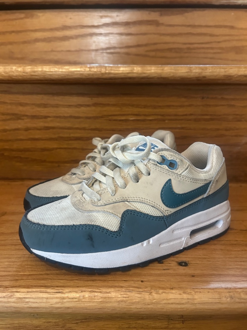 Nike Kids Teal and White Low Top Sneakers